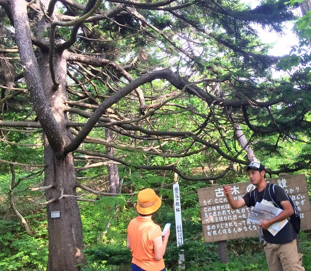 焼尻ゲストハウスやすんでけ 羽幌町 0*,  日本